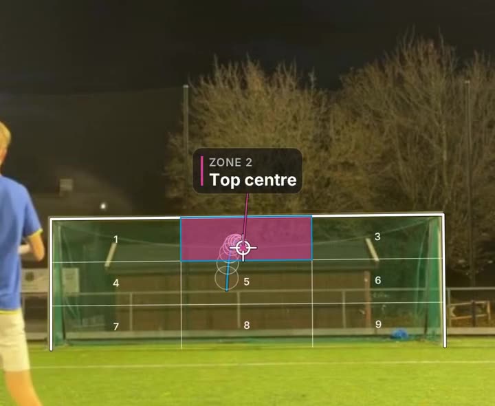 The analysis: the goal split into nine zones and the ball in zone 2, top centre